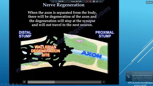 G11 Zoom Meeting ( Biology - 27.11.2020 ) смотреть онлайн