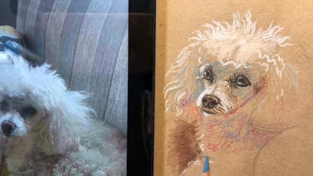 Ли-ли! смотреть онлайн