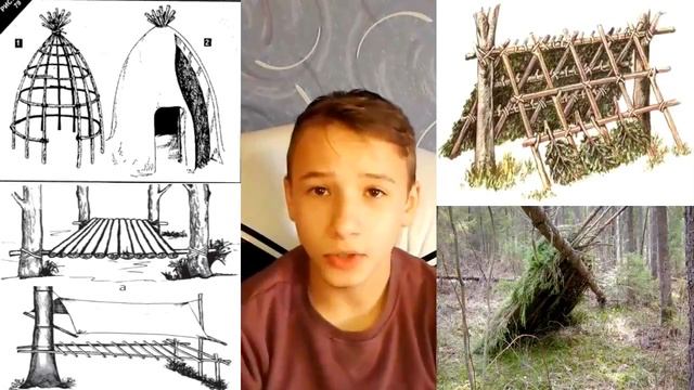 ВИДЫ ЛЕСНЫХ УКРЫТИЙ смотреть онлайн