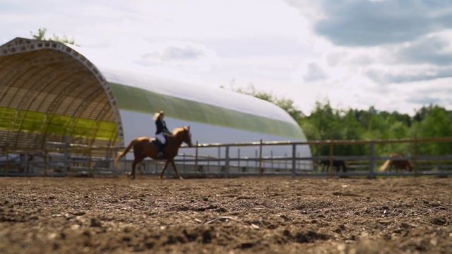 Видеоклип о хобби | Верховая езда | Nika The Horse Rider | Видеограф KateBorz смотреть онлайн