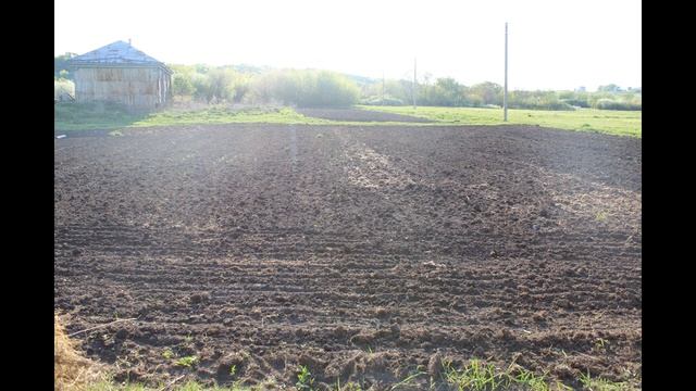 Ред скарлет посадка 2019 смотреть онлайн