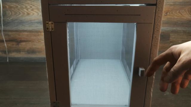 САМЫЙ ПРОСТОЙ ТЕРРАРИУМ В МОЕЙ ЖИЗНИ смотреть онлайн