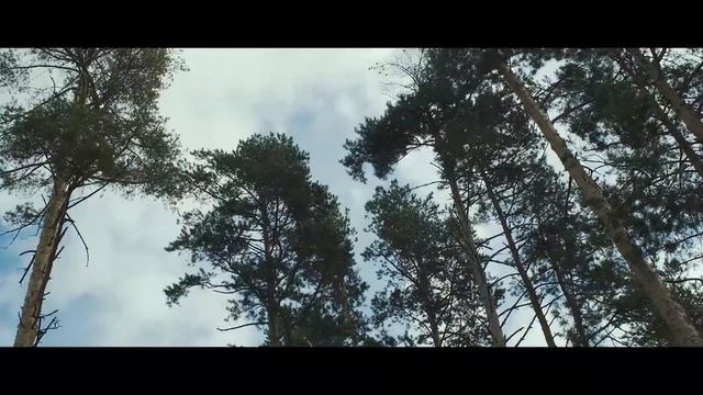 День Рождения Школы Успенские Торжества смотреть онлайн