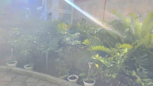 SAN JUAN / PUERTO RICO ?? КРУИЗ по КАРИБАМ 2023 / CELEBRITY EQUINOX смотреть онлайн