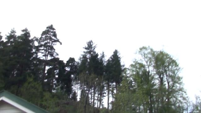 Sony HDR-SR10 Slow Motion смотреть онлайн