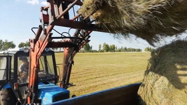 КОСИМ, СОГРЕБАЕМ... ПРЕССУЕМ, ДОСТАВЛЯЕМ!!! смотреть онлайн