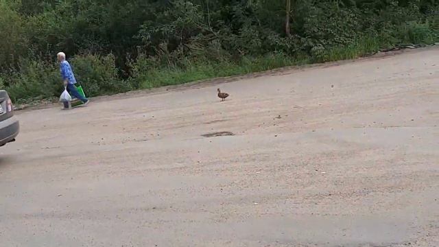 #Очень давно не видела этот магазин.Заправка за городом.Кран не простоял.#Кристи#Карамелька смотреть онлайн
