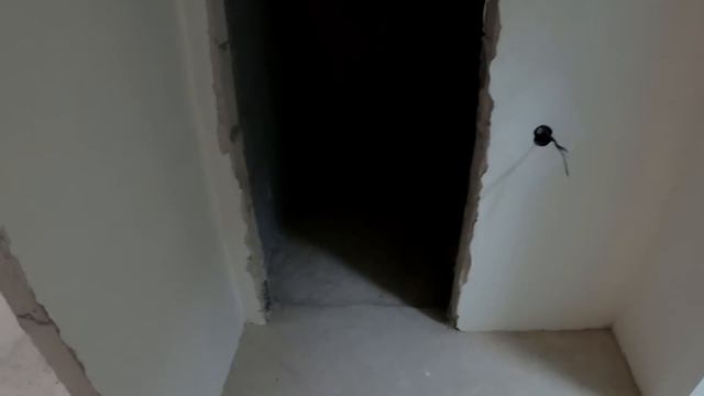 #астана.Приемка квартиры от BI Group с заказчиком. смотреть онлайн