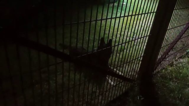 ЛО: Джек - один тихо скулит в темноте смотреть онлайн