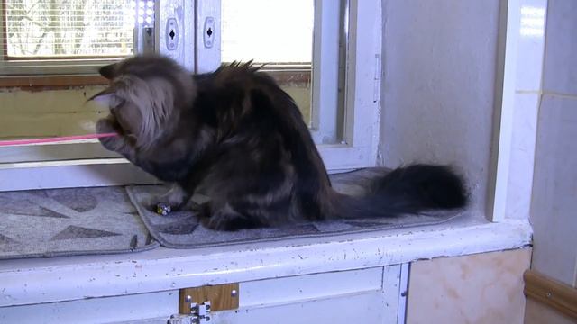 3. Ian Oka Coon. 1.5 года смотреть онлайн