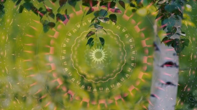 Моё денежное дерево смотреть онлайн
