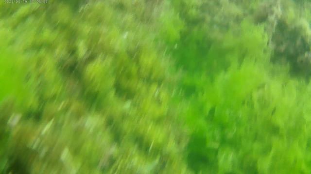 Море под водой смотреть онлайн