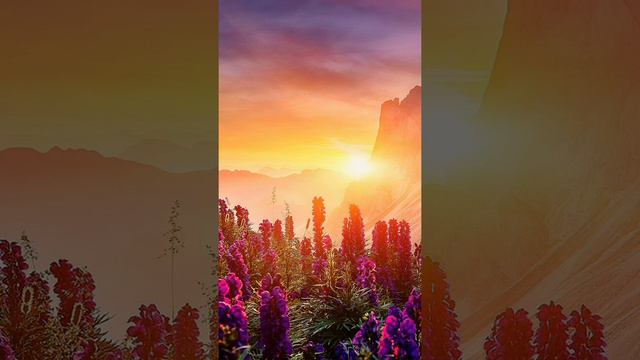 Китай,астразенека,Индия,электронный кошелёк. смотреть онлайн