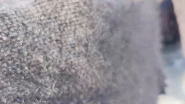 Обзор серых теплых пуховых платков нераспушенный из наличия, большой размер +79030300712