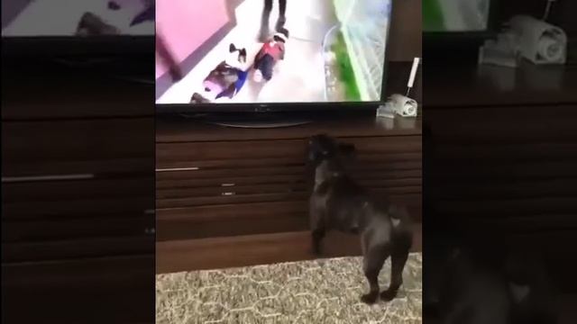 побежали смотреть онлайн