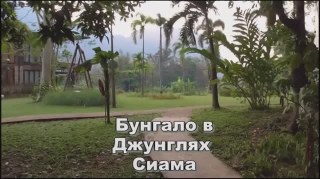 Бунгало в джунглях Сиама смотреть онлайн