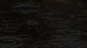 Свёкор и сноха  Страсть и блаженство на письменном столе  Истории из жизни  Истории измен  Жизненны