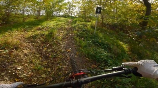 The most DIFFICULT⚠️MTB trails in Trailwerk Wachau | Radon Swoop | MTB VLOG 2022 ?️ #90