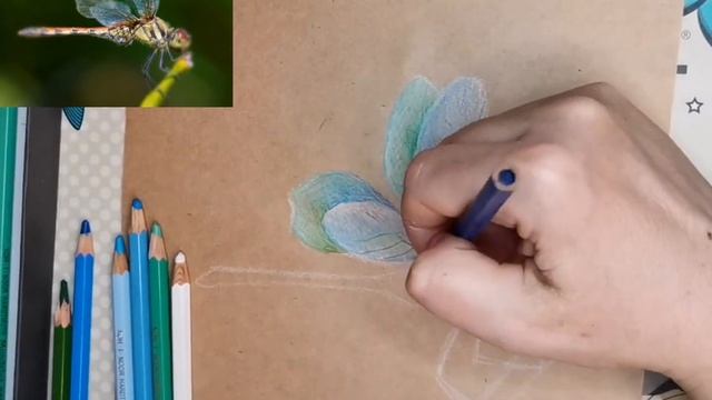 Стрекоза. Рисунок акварельными карандашами смотреть онлайн