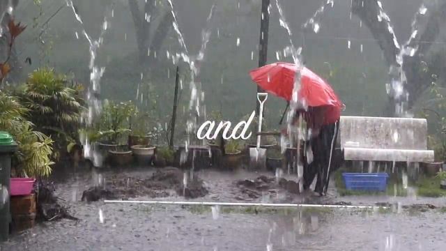 Panasonic HC-WX970 Slow Motion "Fingers Can Tell Tales" by Hisham смотреть онлайн