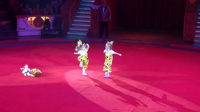 «Богатырская сила» Детская цирковая студия смотреть онлайн