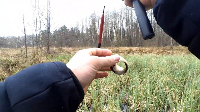 ДВА В ОДНОМ!!! Ловля щуки и карася в одном видео! смотреть онлайн