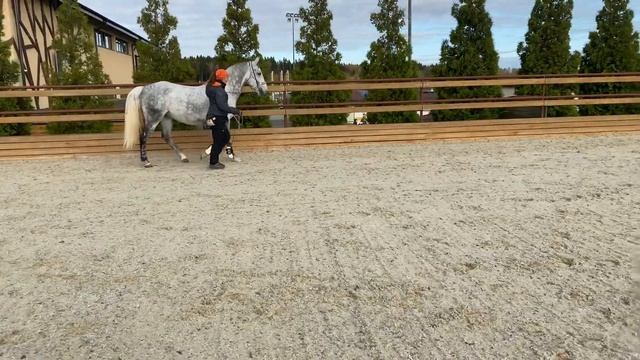 Женя и Конверсано. Модуль 1 «Основы» с Тоней Шевченко. Занятие 1 смотреть онлайн