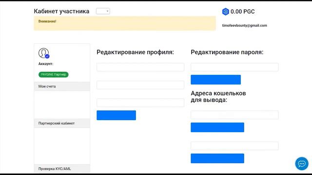 Paygine обзор ICO смотреть онлайн