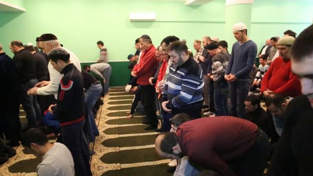 Мавлид в Балашихе смотреть онлайн