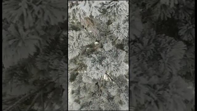 Душа. Елена Оберемченко. смотреть онлайн