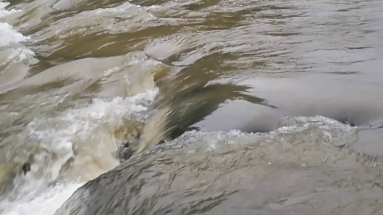Под лежачий камень, вода не течет! смотреть онлайн