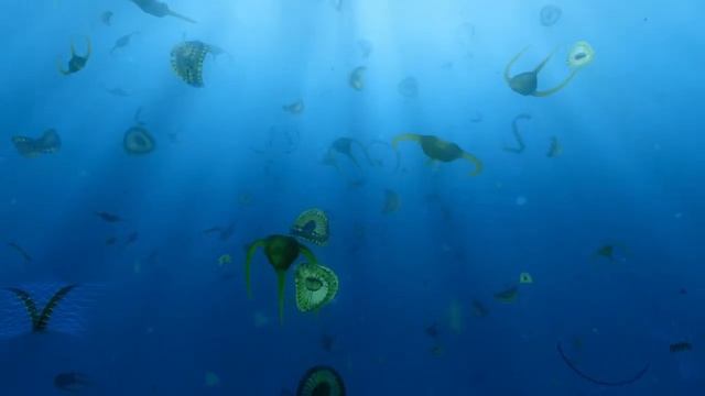 Фитопланктон