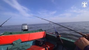 Рыбалка на Чудском озере.