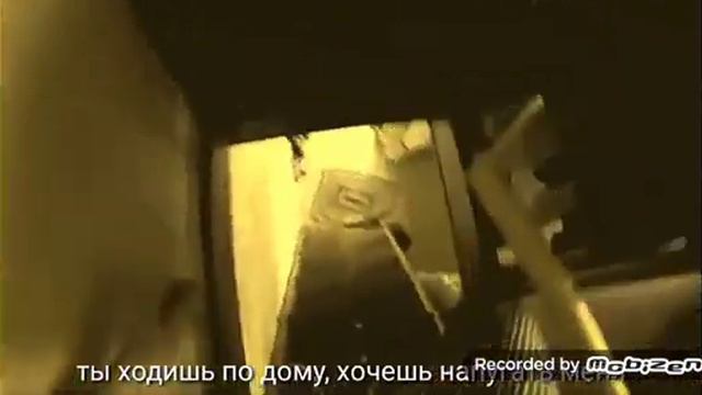 RASA - пчеловот ( породия) смотреть онлайн
