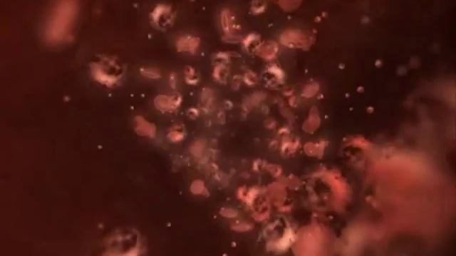 Soldiers Of Anarchy Video - Cолдаты Анархии смотреть онлайн