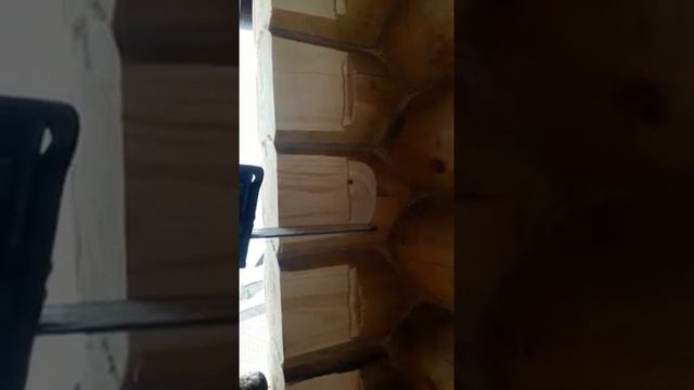 с. Санниково , Баня из алтайского кедра смотреть онлайн