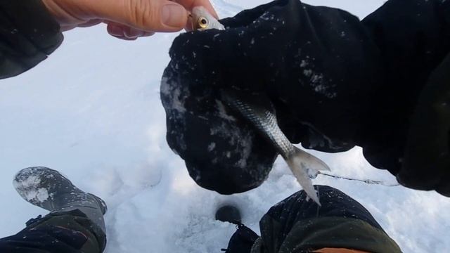 Субботняя подледная рыбалка на Оби, Томская область смотреть онлайн