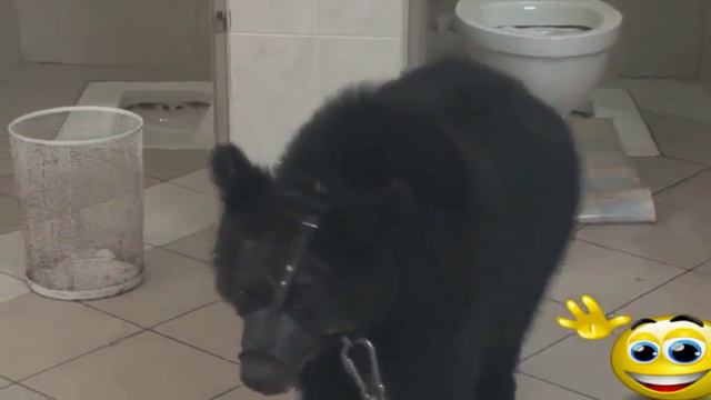 My Edited Video смотреть онлайн