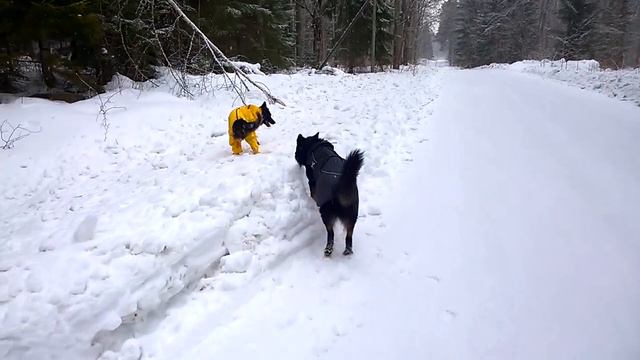Rukka Protect Overall In Use смотреть онлайн