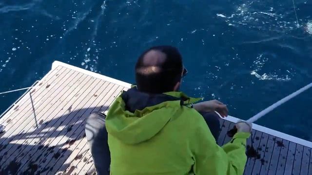 Ловим тунца с яхты на Канарах смотреть онлайн