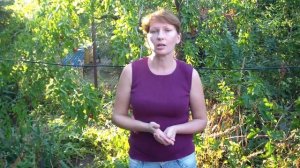 Что такое Унаби и "с чем его едят?"