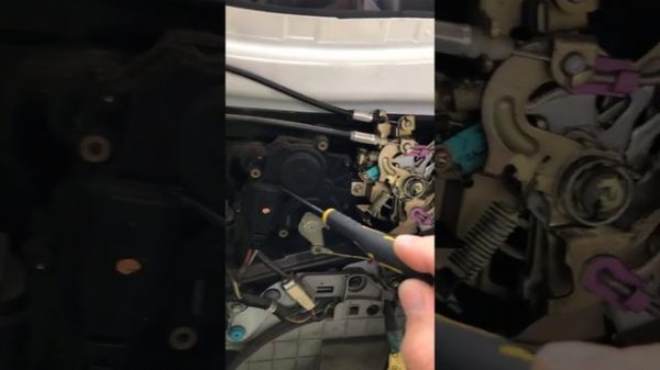 Toyota Raum NCZ25. Задняя электродверь.