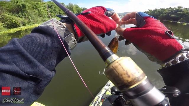 อะไรที่บ่งบอกความเป็นตัวคุณ 