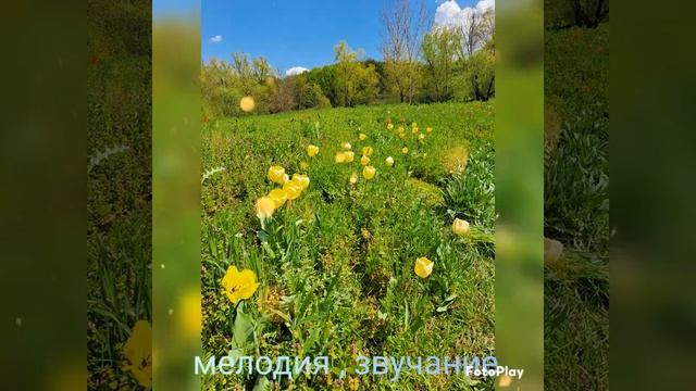 Мелодия, уникальное звучание, узор.. смотреть онлайн