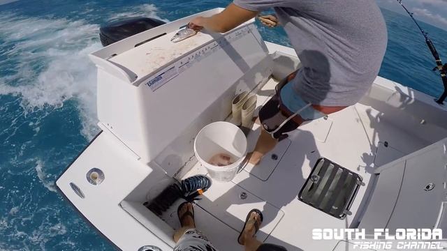 Deep Dropping after Hurricane Irma | Fishing смотреть онлайн