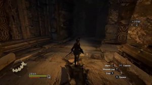 Dragons Dogma Dark Arisen Ассасин (соло) Золотой и серебренный рыцарь в Эверфоле.