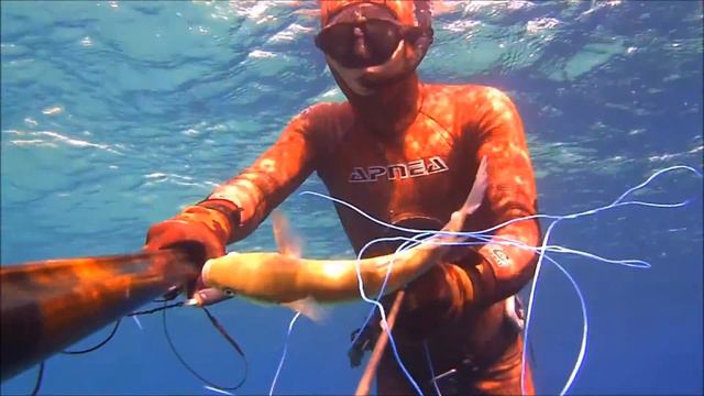 ПОДВОДНАЯ ОХОТА! SPEARFISHING! смотреть онлайн