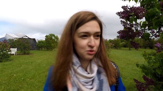 Добеле. Сиреневый сад. смотреть онлайн