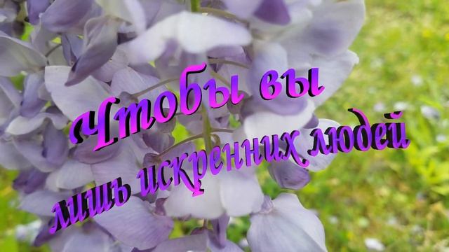 Счастья вашему дому! смотреть онлайн