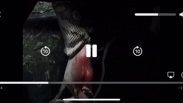 Sony CCD-TRV66 Footage Test смотреть онлайн